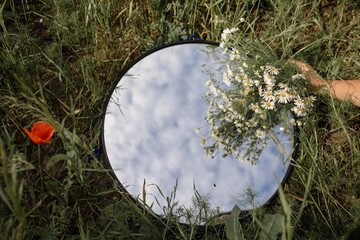 Round Mirror In The Grass - Trendy Image, Close To Nature. Dandelion in the mirror against the blue...