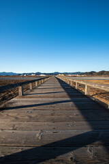 Naklejka premium bridge