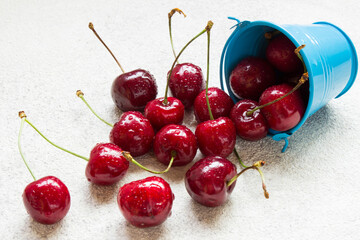 large ripe cherries in a blue bucket on a light background