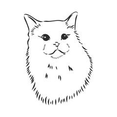 The Vector logo cat for tattoo or T-shirt design or outwear. Cute print style cat background.