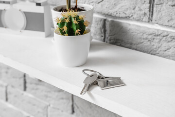 Shelf with keys and houseplant hanging on brick wall, closeup