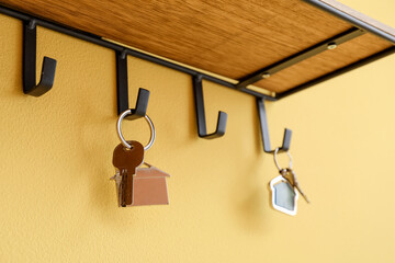 Holder with keys hanging on color wall