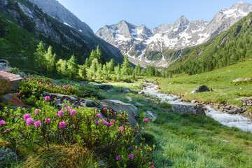 Alpenlandschaft mit Gletscher und Gebirgsbach 