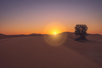 Fototapeta na wymiar Desert sunrise with the sunray visible and a lonely tree on the right side with sand and pattern. Copy space availabe.