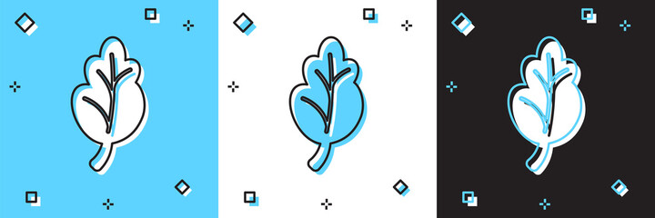 Set Korean food kimchi, cabbage icon isolated on blue and white, black background. Vector