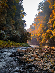 river in autumn
