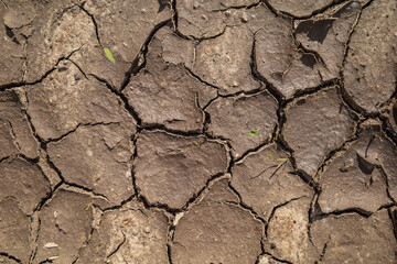 Dry and cracked soil due to warming and drought