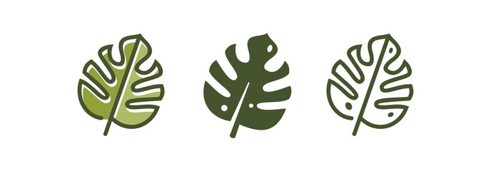 botanical wall art. abstract line of monstera leaf vector set logo icon illustration. Green tropical leaves drawing outline.