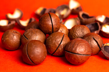 the most delicious and expensive macadamia nut. walnut on a red background