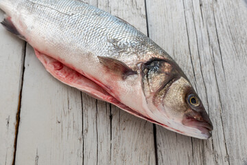 Sea bass with white background