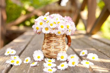 Small bouquet of daisies in the cup on grunge wooden board against green background. floral present Mother's Day Daisy Bellis perennis garden flowers