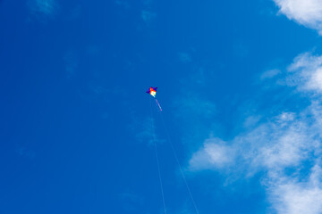 Colorful Kites flying over the sky