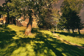 Walk in the park. This beautiful park is located in Oslo, Norway. It has a preserved old building...