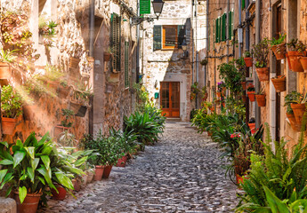 Fototapeta na wymiar Valldemossa plant street alley with sun flare during summer