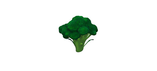 3d illustration of broccoli isolated on white background-green vegetable