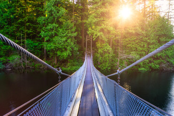 View of Suspension Bridge over the water in Green and Vibrant Rain Forest during a sunny summer day. Buntzen Lake, Anmore, Vancouver, British Columbia, Canada. Nature Background