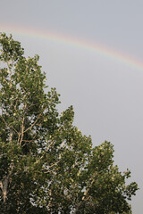 rainbow in the sky