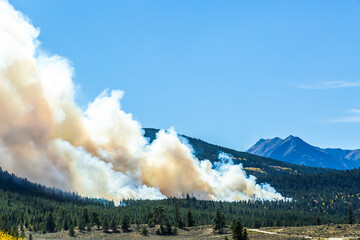 Forest fire produces large smoke plume that is blown in Lake County Colorado near Twin Lakes with...