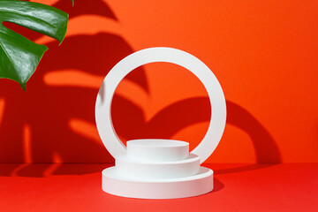 White circle and oval podiums for presentation under the shadow of a monstera leaf on a red...