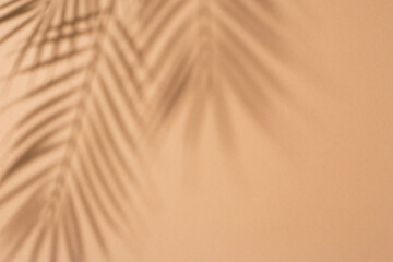 Shadows of tropical leaves of a palm tree on a light brown background. Top view, flat lay