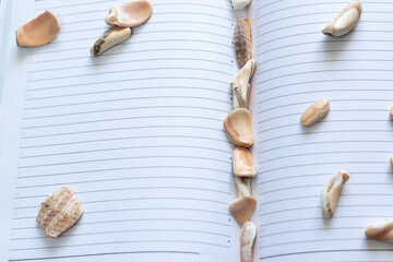 Open notebook, diary or planner with marine fossils and shells and blank pages in a line on the theme of vacations, seaside and travel