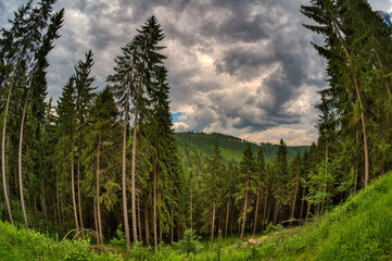 Hiking on the Rennsteig in the Thuringian Forest	