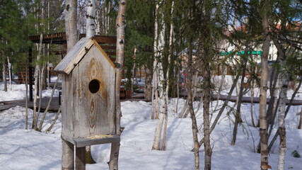 park spring snow trees wooden paths birdhouse on a tree    