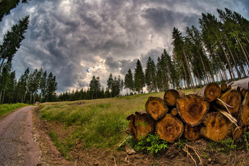 Hiking on the Rennsteig in the Thuringian Forest	