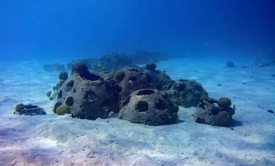 Reef Balls, artificial reef modules placed on the the ocean to form reef habitat