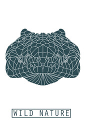 CROCODILE HEAD LOW POLY BACKGROUND ANIMALS WILD NATURE