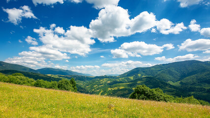 Obraz premium countryside landscape in mountains. grassy meadow on the hill. beautiful nature landscape. sunny summer day. clouds on the sky. travel back country concept