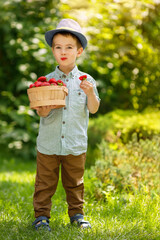 little boy eats ripe strawberry in the garden