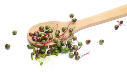 Unripe elderberries, elder plant berries with wooden spoon isolated on white background