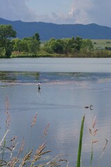 Background with the lake in Rotbav, Brasov, Transylvania, Romania	