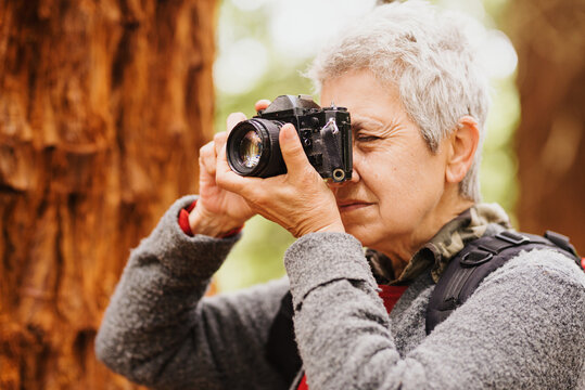 old woman with old film camera taking pictures in the forest. pensioner doing activities