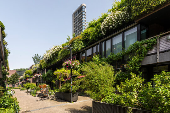 Eindhoven, The Netherlands June 18th 2021. Green nature street in the centre of Eindhoven city with plants, greenery, flowers and overgrown houses, stores and a high rise building