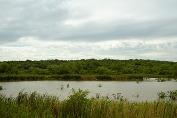 Panorama view of the lake, reeds, and green forest in Pre Delta national Park in Entre Ríos, Argentina.
