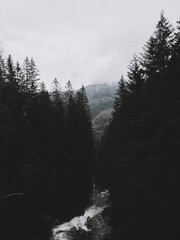 lake tahoe state