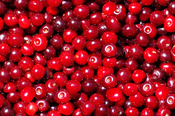 Seamless background with red ripe cherries.