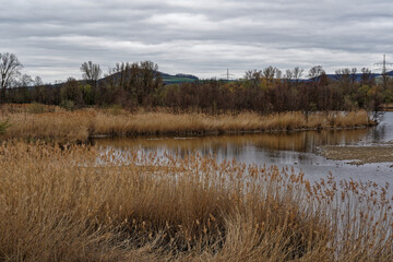 Vogelschutzgebiet Hochreinsee im Naturschutzgebiet Mainaue bei Augsfeld, Landkreis Hassberge, Unterfranken, Franken, Bayern, Deutschland
