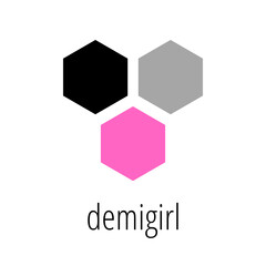 Demigirl LGBT Pride Flag With White Background
