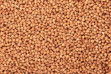 Roasted buckwheat grains background. Dry brown buckwheat groats.