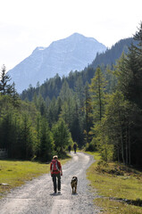 weg im pinnistal
