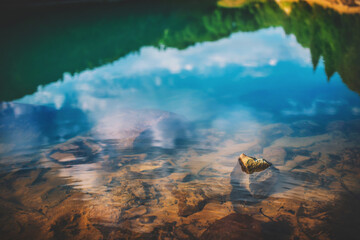 Reflections in the Mountain Lake