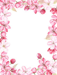Fototapeta na wymiar Floral frame of apple blossom painted in watercolor, on white isolated background. For invitations, cards and other design projects; good to use as vertical and horizontal format. 