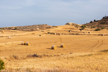 A mown wheat field with rolls of hay on a hillside near Oroklini, Cyprus.	