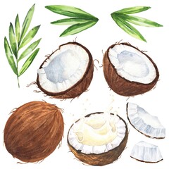 Watercolor coconut set with green leaves and cuts on white background. Watercolour tropical food illustration.
