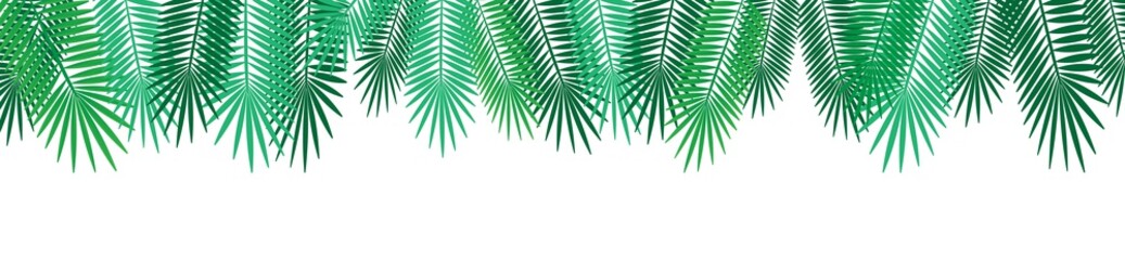 natural cartoon green tropical palm leaves rim, vector illustration for decorating invitations, cards, websites, posters or banners isolated on white