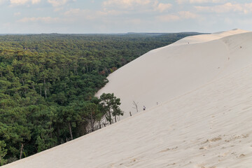 Fototapeta na wymiar The Great Dune of Pyla also called Grande Dune du Pilat, the tallest sand dune in Europe, invading the pine forest. Arcachon Bay, France.