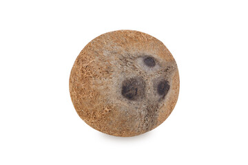 Coconut isolated on white Background